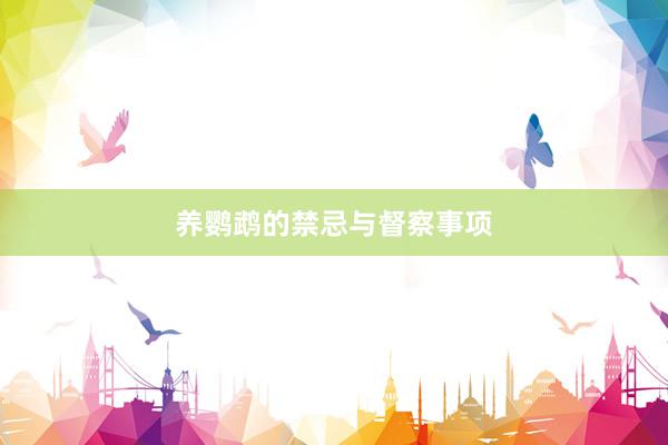 养鹦鹉的禁忌与督察事项