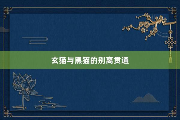 玄猫与黑猫的别离贯通