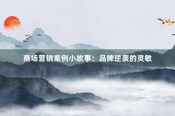 商场营销案例小故事：品牌逆袭的灵敏
